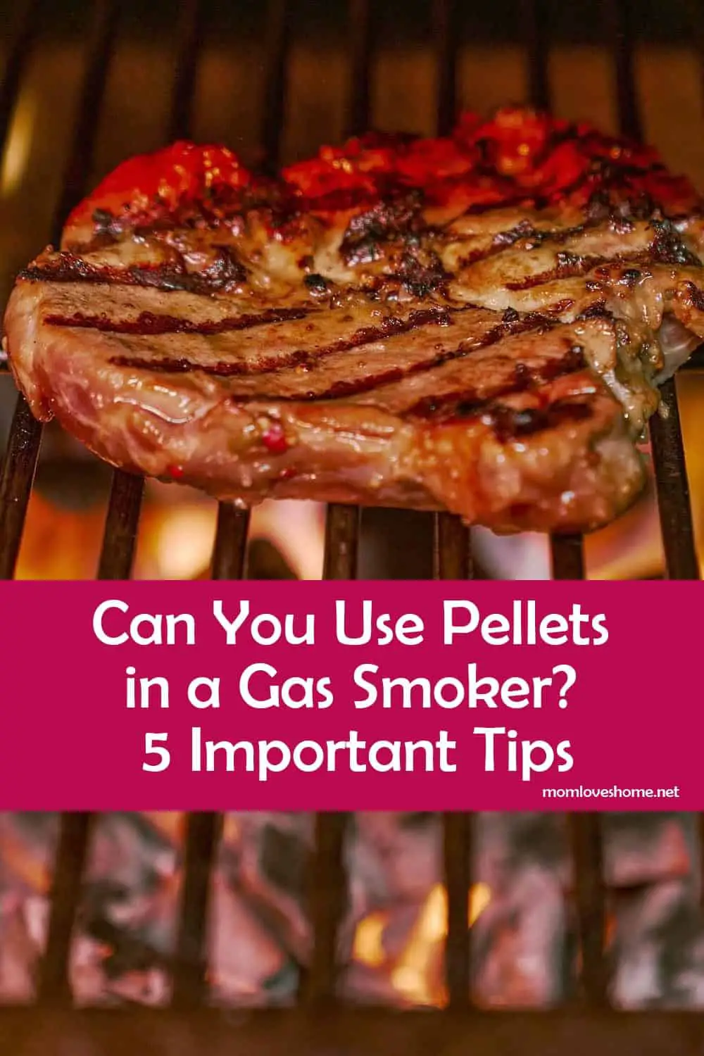 Can You Use Pellets in a Gas Smoker